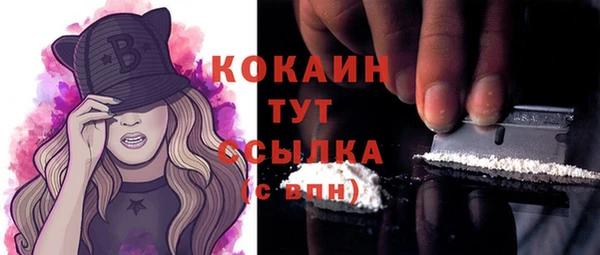 mix Белокуриха