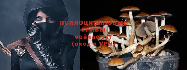 СК Беломорск