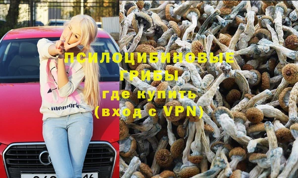 mix Белокуриха