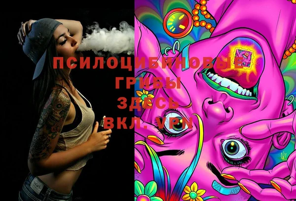 mix Белокуриха