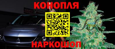 прущие грибы Новокубанск