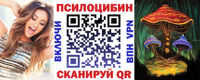 Псилоцибиновые грибы Cubensis Купить Павловский Посад