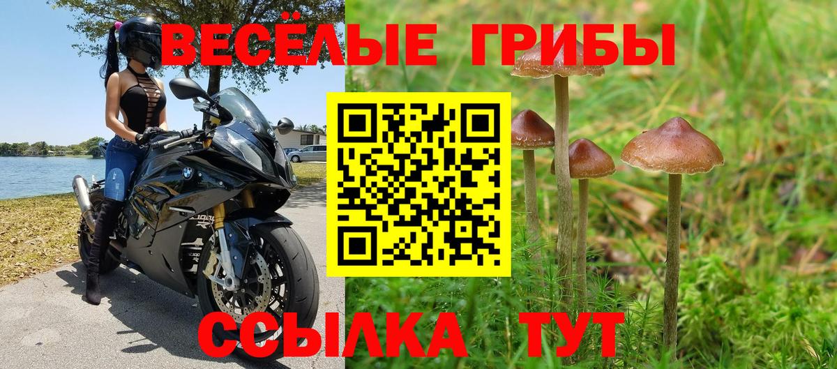 Псилоцибиновые грибы Magic Shrooms Павловский Посад